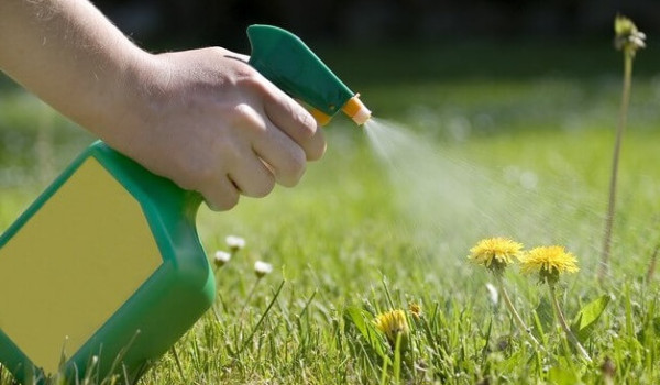 Einsatz von Herbiziden / Unkrautmitteln
